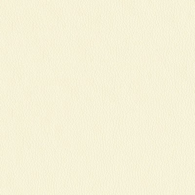 Abbeyshea Fabrics Premier 61 Vanilla