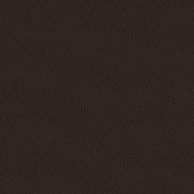 Abbeyshea Fabrics Premier 805 Bisque