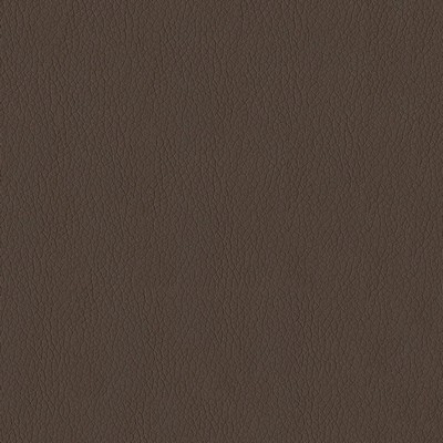 Abbeyshea Fabrics Premier 808 Mocha