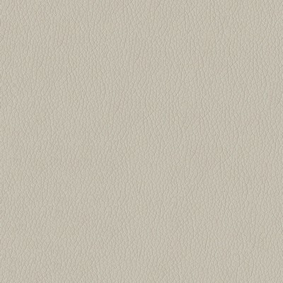 Abbeyshea Fabrics Premier 9003 Grey