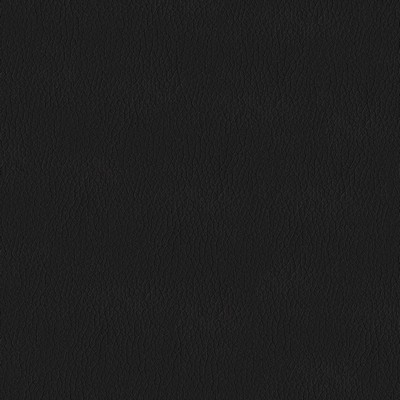 Abbeyshea Fabrics Premier 9009 Black