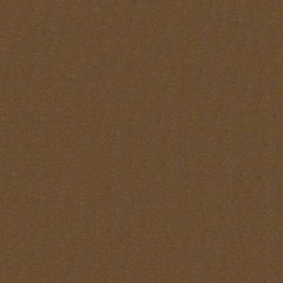 Abbeyshea Fabrics Rogue II  RU840 Buckskin