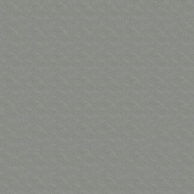 Abbeyshea Fabrics Rogue II  RU900 Flint