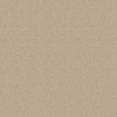 Abbeyshea Fabrics Rogue II  RU920 Taupe