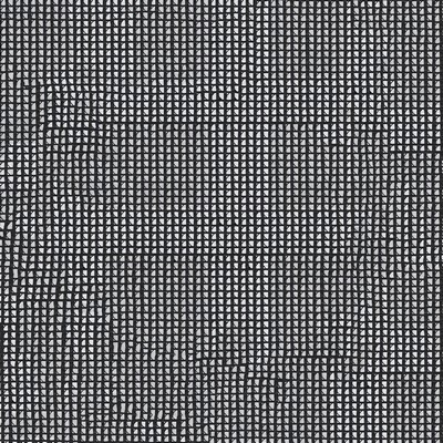 Abbeyshea Fabrics Screening Heavy Mesh Black Black