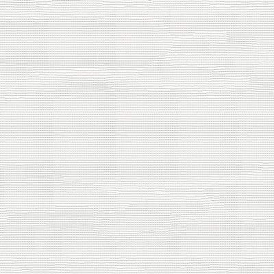 Abbeyshea Fabrics Screening Heavy Mesh White White 