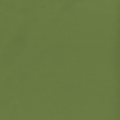 Abbeyshea Fabrics Sequoia 21 Fern 