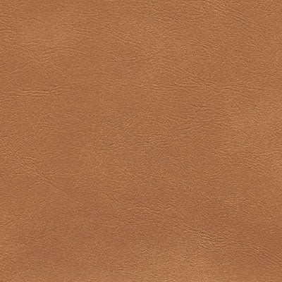 Abbeyshea Fabrics Enduratex Sierra Montana 5197 Camel