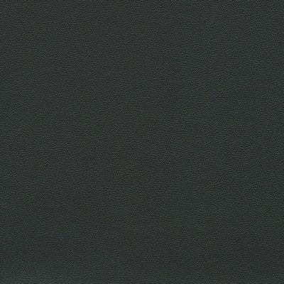 Abbeyshea Fabrics Enduratex Soho 7525 Charcoal Black