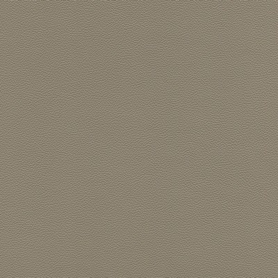 Abbeyshea Fabrics Enduratex Soho 7689 Medium Light Stone