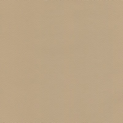 Abbeyshea Fabrics Enduratex Soho 7707 Light Camel