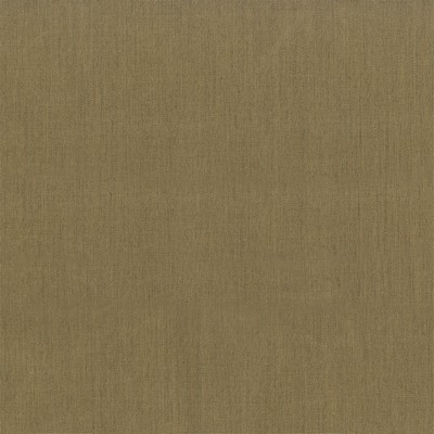 Abbeyshea Fabrics SolarShade Plus FR 681 Beige