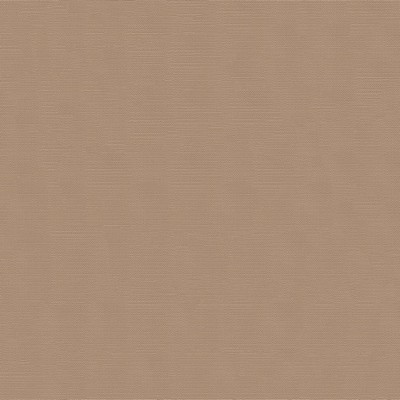 Abbeyshea Fabrics Spaliner 2nd Edition 6009 Beige