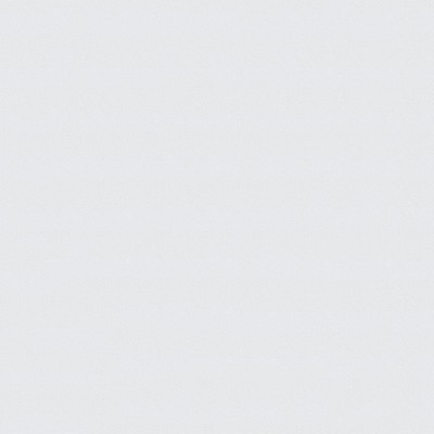 Abbeyshea Fabrics Stamoid Top  3933-10309 Snow White