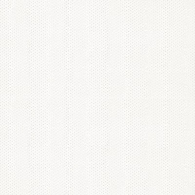 Abbeyshea Fabrics Stipple 602 Mystic White