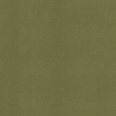 Abbeyshea Fabrics Sunbrella Furniture Heritage 18011-0000 Leaf