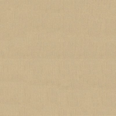 Abbeyshea Fabrics Sunbrella Furniture Sailcloth RF 32000-0016 Sahara