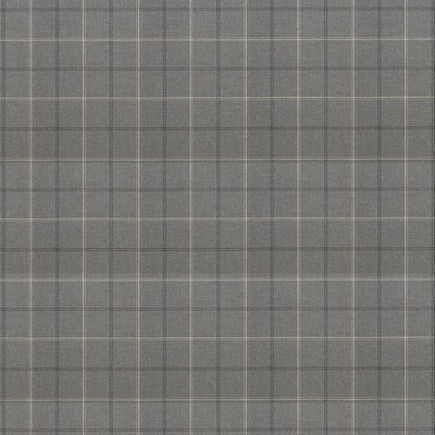 Abbeyshea Fabrics Sunbrella Furniture Paradigm 40484-0001 Stone