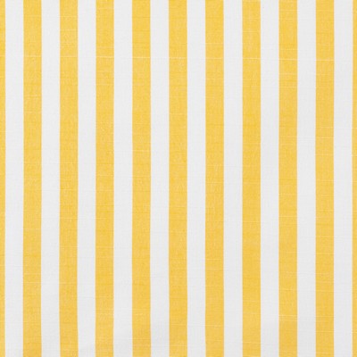 Abbeyshea Fabrics Sunbrella Furniture Sail Away SUNFLOWER