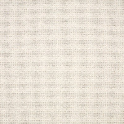 Abbeyshea Fabrics Sunbrella Furniture Nurture 42102-0001 White