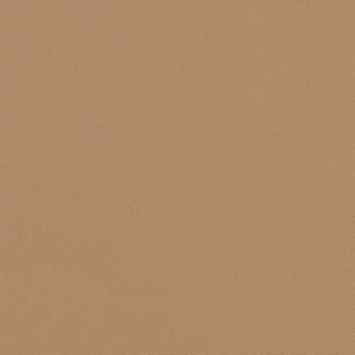 Abbeyshea Fabrics Sunbrella  4620 Beige