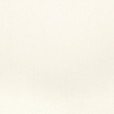 Abbeyshea Fabrics Sunbrella  4634 White