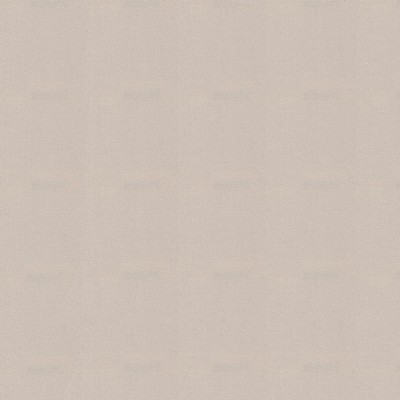 Abbeyshea Fabrics Sunbrella  4642 Oyster