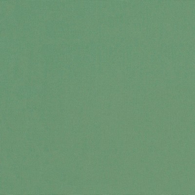 Abbeyshea Fabrics Sunbrella  4688 Basil