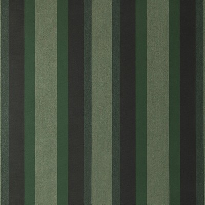 Abbeyshea Fabrics Sunbrella® 46 Stripes Standard 4707 Marco Olive