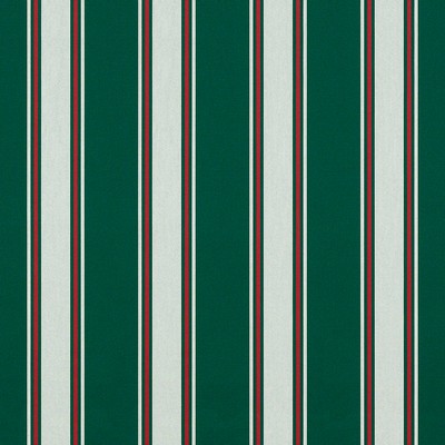 Abbeyshea Fabrics Sunbrella  4790 Forest Green Fancy