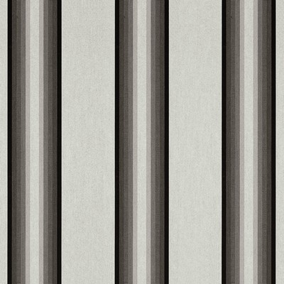 Abbeyshea Fabrics Sunbrella  4799 Grey/Black/White
