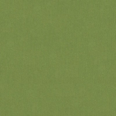 Abbeyshea Fabrics Sunbrella Furniture Spectrum 48022-0000 Cilantro