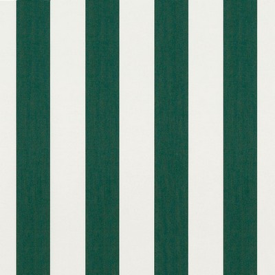 Abbeyshea Fabrics Sunbrella  4806 Forest/Ntrl 6 Bar