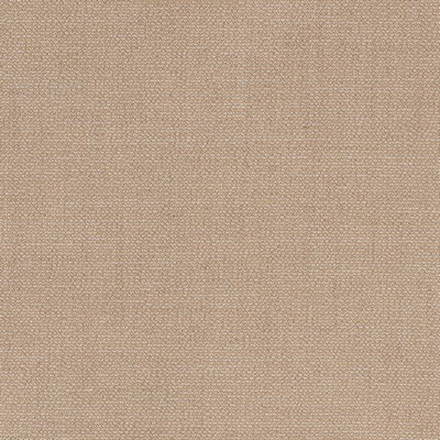 Abbeyshea Fabrics Sunbrella Furniture Remix CAMEL