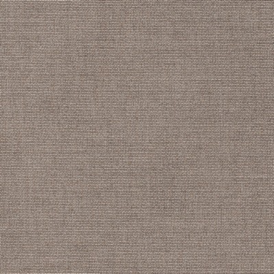 Abbeyshea Fabrics Sunbrella Furniture Remix MUSHROOM