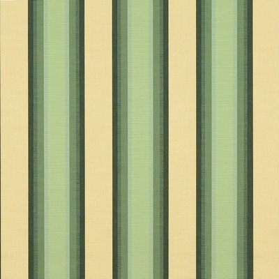 Abbeyshea Fabrics Sunbrella  4856 Colonnade Juniper