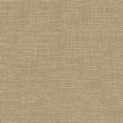 Abbeyshea Fabrics Sunbrella Silica 4859 Silica Dune