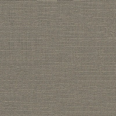 Abbeyshea Fabrics Sunbrella Silica 4861 Silica Stone