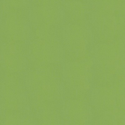 Abbeyshea Fabrics Sunbrella Furniture Solid Canvas 54011 Gingko