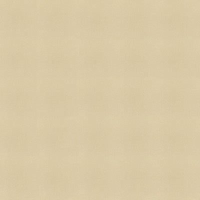 Abbeyshea Fabrics Sunbrella Furniture Solid Canvas 5422 Antique Beige