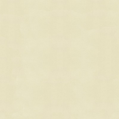 Abbeyshea Fabrics Sunbrella Furniture Solid Canvas 5453 Canvas