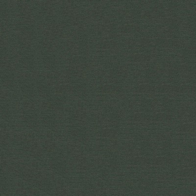 Abbeyshea Fabrics Sunbrella Furniture Solid Canvas 5487 Fern