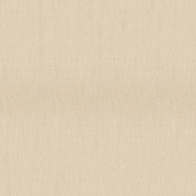 Abbeyshea Fabrics Sunbrella Furniture Canvas 5492-0000 Flax