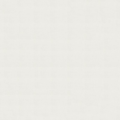 Abbeyshea Fabrics Sunbrella   6004 Natural