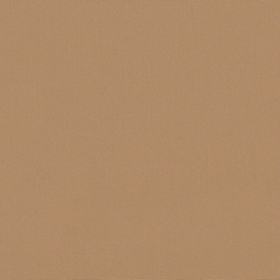 Abbeyshea Fabrics Sunbrella   6020 Beige