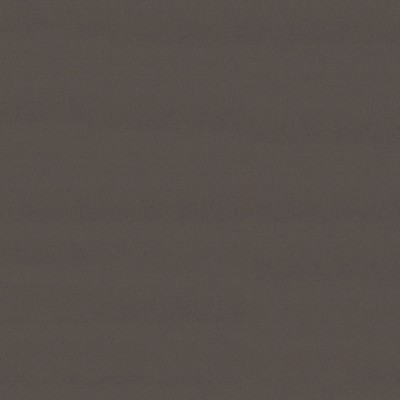 Abbeyshea Fabrics Sunbrella   6048 Taupe