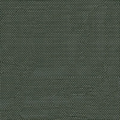 Abbeyshea Fabrics Suntex Black