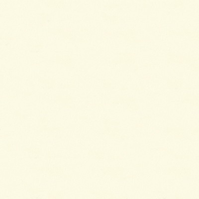 Abbeyshea Fabrics Top Gun FR 707 Ivory