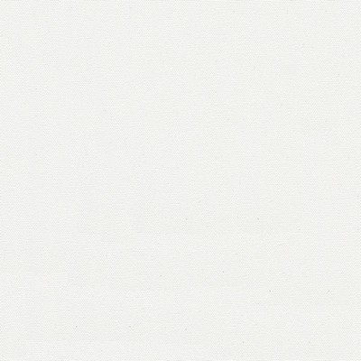 Abbeyshea Fabrics Top Gun 9 #868 Arctic White