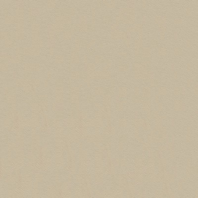 Abbeyshea Fabrics Tradewinds 6610 Coastal Sand